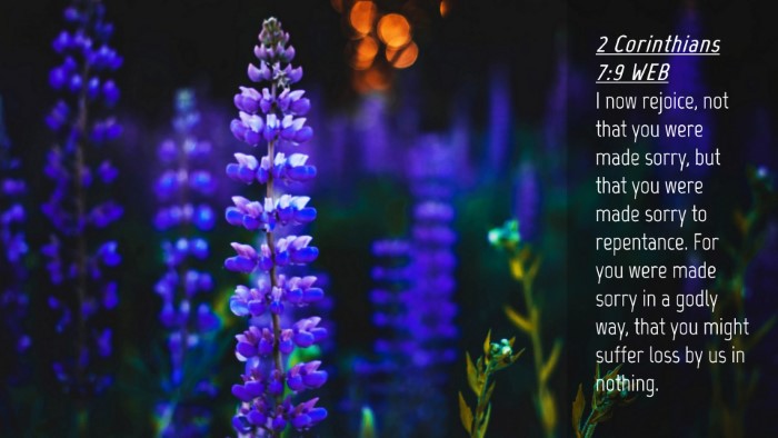Picture 04 - 2 Corinthians 7:9 WEB Desktop Wallpaper - I now rejoice, not that you were made sorry, but - Desktop Bible Verse Wallpaper