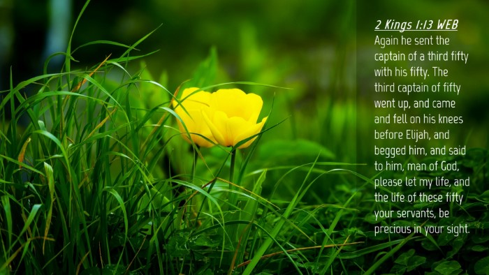 Picture 04 - 2 Kings 1:13 WEB Desktop Wallpaper - Again he sent the captain of a third fifty with - Desktop Bible Verse Wallpaper
