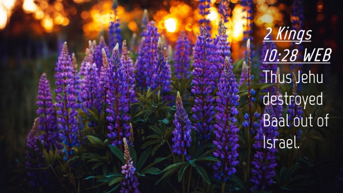 Picture 04 - 2 Kings 10:28 WEB Desktop Wallpaper - Thus Jehu destroyed Baal out of - Desktop Bible Verse Wallpaper