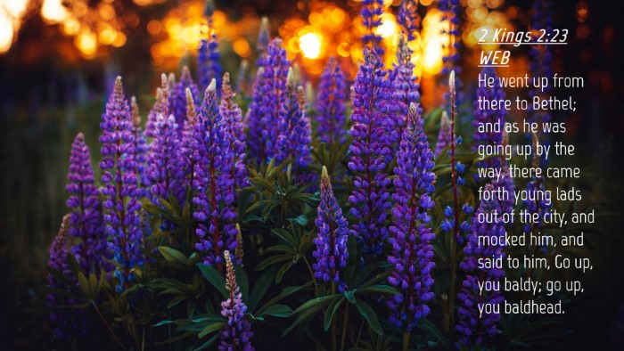 Picture 04 - 2 Kings 2:23 WEB Desktop Wallpaper - He went up from there to Bethel; and as he was - Desktop Bible Verse Wallpaper