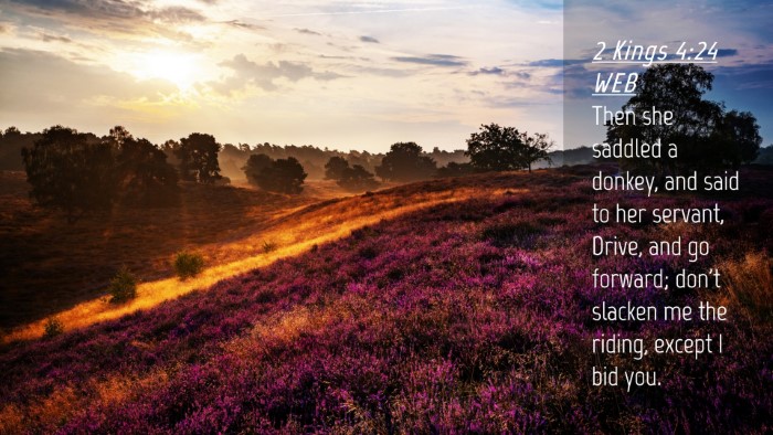 Picture 04 - 2 Kings 4:24 WEB Desktop Wallpaper - Then she saddled a donkey, and said to her - Desktop Bible Verse Wallpaper