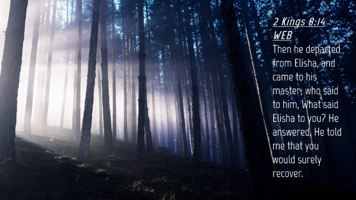 Picture 04 - 2 Kings 8:14 WEB Desktop Wallpaper - Then he departed from Elisha, and came to his - Desktop Bible Verse Wallpaper