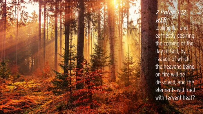 Picture 04 - 2 Peter 3:12 WEB Desktop Wallpaper - looking for and earnestly desiring the coming of - Desktop Bible Verse Wallpaper