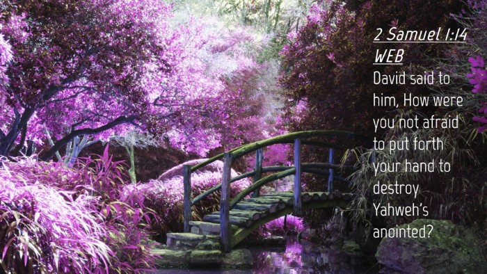 Picture 04 - 2 Samuel 1:14 WEB Desktop Wallpaper - David said to him, How were you not afraid to put - Desktop Bible Verse Wallpaper