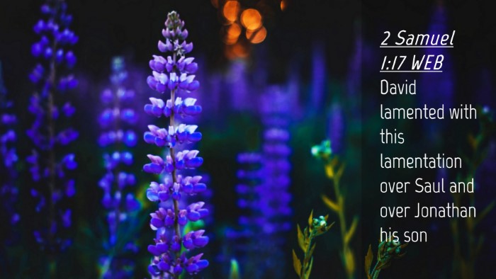 Picture 04 - 2 Samuel 1:17 WEB Desktop Wallpaper - David lamented with this lamentation over Saul - Desktop Bible Verse Wallpaper