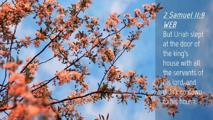 Picture 04 - 2 Samuel 11:9 WEB Desktop Wallpaper - But Uriah slept at the door of the king's house - Desktop Bible Verse Wallpaper