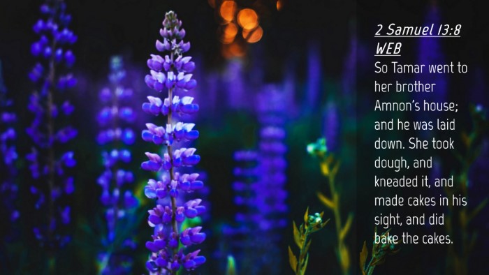 Picture 04 - 2 Samuel 13:8 WEB Desktop Wallpaper - So Tamar went to her brother Amnon's house; and - Desktop Bible Verse Wallpaper