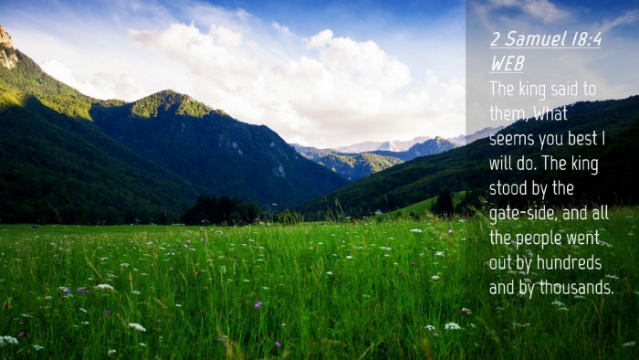 Picture 04 - 2 Samuel 18:4 WEB Desktop Wallpaper - The king said to them, What seems you best I will - Desktop Bible Verse Wallpaper