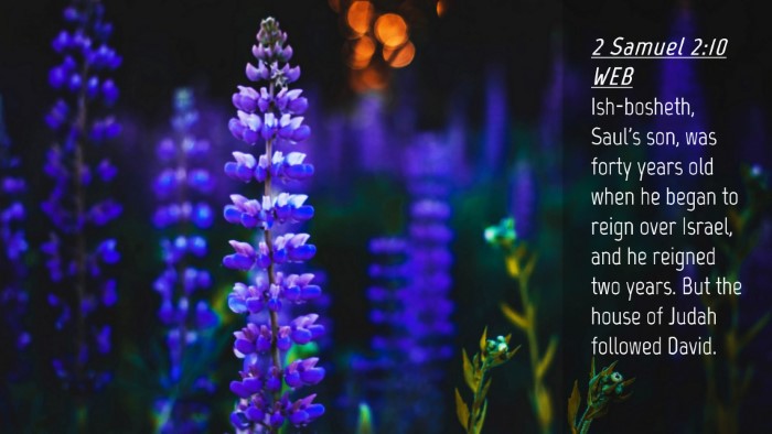 Picture 04 - 2 Samuel 2:10 WEB Desktop Wallpaper - Ish-bosheth, Saul's son, was forty years old when - Desktop Bible Verse Wallpaper