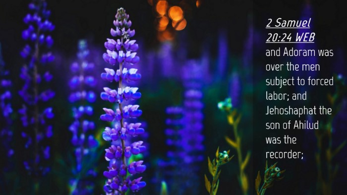 Picture 04 - 2 Samuel 20:24 WEB Desktop Wallpaper - and Adoram was over the men subject to forced - Desktop Bible Verse Wallpaper