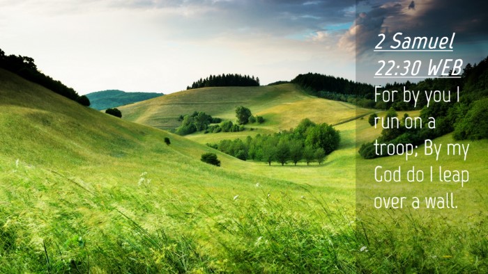 Picture 04 - 2 Samuel 22:30 WEB Desktop Wallpaper - For by you I run on a troop; By my God do I leap - Desktop Bible Verse Wallpaper