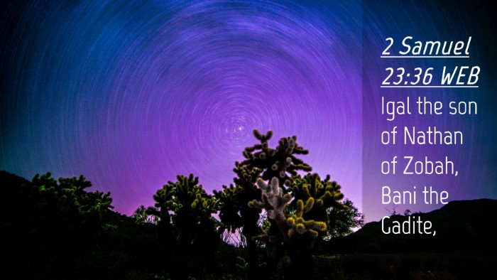 Picture 04 - 2 Samuel 23:36 WEB Desktop Wallpaper - Igal the son of Nathan of Zobah, Bani the - Desktop Bible Verse Wallpaper