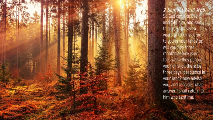 Picture 04 - 2 Samuel 24:13 WEB Desktop Wallpaper - So Gad came to David, and told him, and said to - Desktop Bible Verse Wallpaper