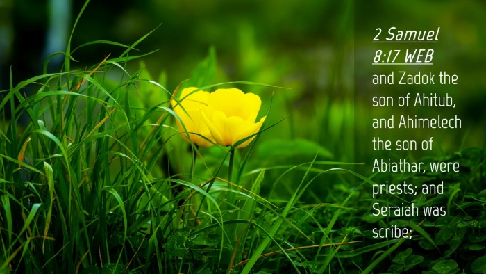 Picture 04 - 2 Samuel 8:17 WEB Desktop Wallpaper - and Zadok the son of Ahitub, and Ahimelech the - Desktop Bible Verse Wallpaper