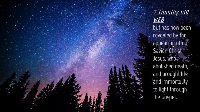 Picture 04 - 2 Timothy 1:10 WEB Desktop Wallpaper - but has now been revealed by the appearing of our - Desktop Bible Verse Wallpaper