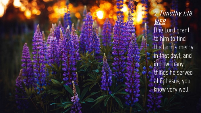 Picture 04 - 2 Timothy 1:18 WEB Desktop Wallpaper - (the Lord grant to him to find the Lord's mercy - Desktop Bible Verse Wallpaper