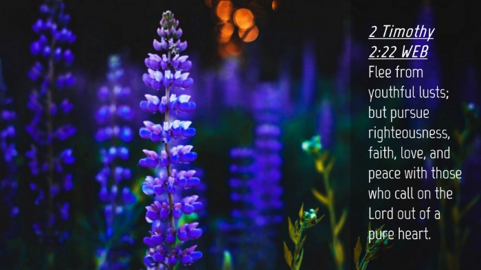 Picture 04 - 2 Timothy 2:22 WEB Desktop Wallpaper - Flee from youthful lusts; but pursue - Desktop Bible Verse Wallpaper