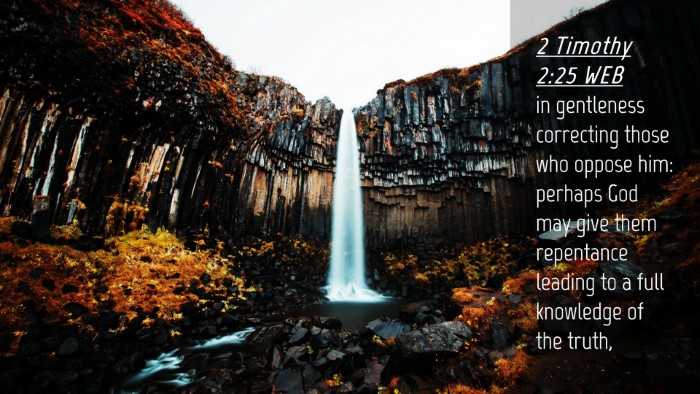 Picture 04 - 2 Timothy 2:25 WEB Desktop Wallpaper - in gentleness correcting those who oppose him: - Desktop Bible Verse Wallpaper