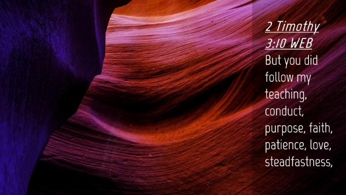 Picture 04 - 2 Timothy 3:10 WEB Desktop Wallpaper - But you did follow my teaching, conduct, purpose, - Desktop Bible Verse Wallpaper