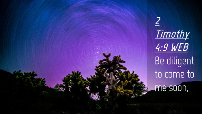 Picture 04 - 2 Timothy 4:9 WEB Desktop Wallpaper - Be diligent to come to me - Desktop Bible Verse Wallpaper