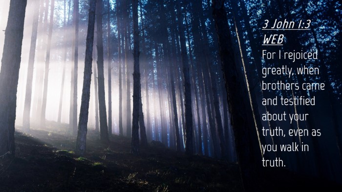 Picture 04 - 3 John 1:3 WEB Desktop Wallpaper - For I rejoiced greatly, when brothers came and - Desktop Bible Verse Wallpaper