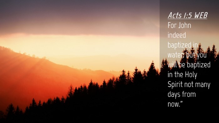 Picture 04 - Acts 1:5 WEB Desktop Wallpaper - For John indeed baptized in water, but you will - Desktop Bible Verse Wallpaper