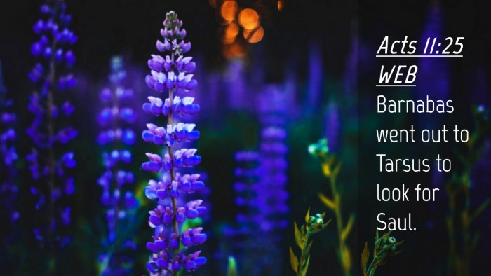 Picture 04 - Acts 11:25 WEB Desktop Wallpaper - Barnabas went out to Tarsus to look for - Desktop Bible Verse Wallpaper
