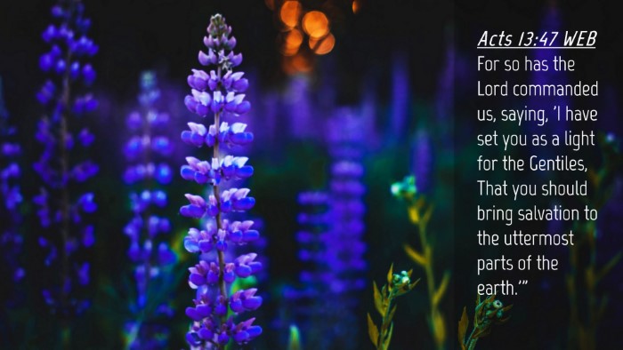 Picture 04 - Acts 13:47 WEB Desktop Wallpaper - For so has the Lord commanded us, saying, 'I have - Desktop Bible Verse Wallpaper