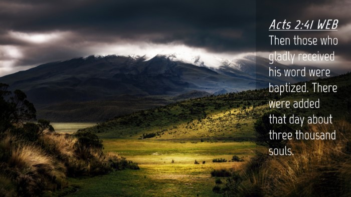 Picture 04 - Acts 2:41 WEB Desktop Wallpaper - Then those who gladly received his word were - Desktop Bible Verse Wallpaper