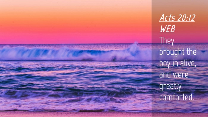 Picture 04 - Acts 20:12 WEB Desktop Wallpaper - They brought the boy in alive, and were greatly - Desktop Bible Verse Wallpaper