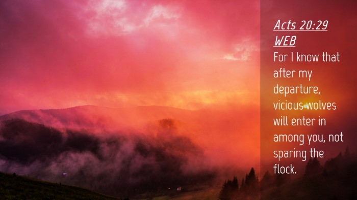Picture 04 - Acts 20:29 WEB Desktop Wallpaper - For I know that after my departure, vicious - Desktop Bible Verse Wallpaper