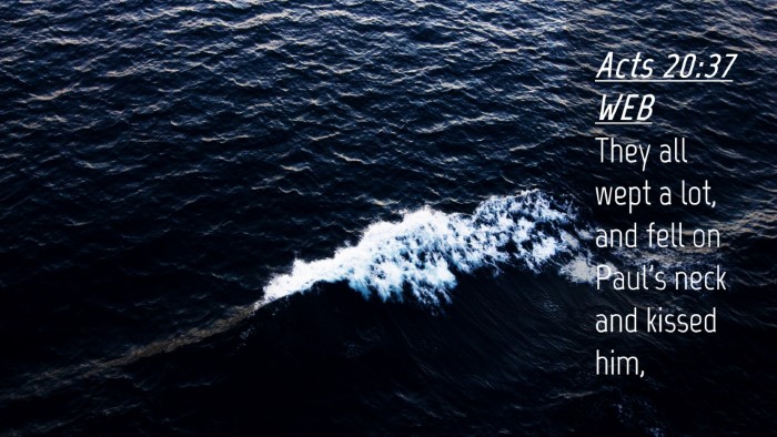 Picture 04 - Acts 20:37 WEB Desktop Wallpaper - They all wept a lot, and fell on Paul's neck and - Desktop Bible Verse Wallpaper
