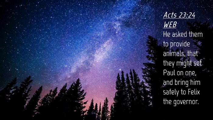 Picture 04 - Acts 23:24 WEB Desktop Wallpaper - He asked them to provide animals, that they might - Desktop Bible Verse Wallpaper