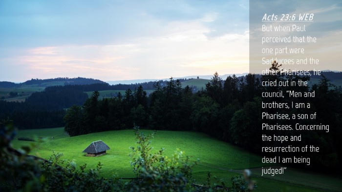 Picture 04 - Acts 23:6 WEB Desktop Wallpaper - But when Paul perceived that the one part were - Desktop Bible Verse Wallpaper