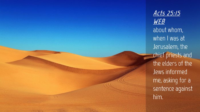 Picture 04 - Acts 25:15 WEB Desktop Wallpaper - about whom, when I was at Jerusalem, the chief - Desktop Bible Verse Wallpaper