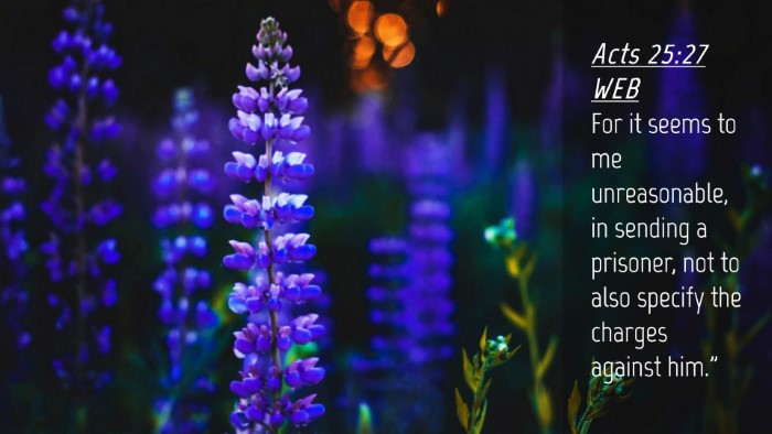 Picture 04 - Acts 25:27 WEB Desktop Wallpaper - For it seems to me unreasonable, in sending a - Desktop Bible Verse Wallpaper