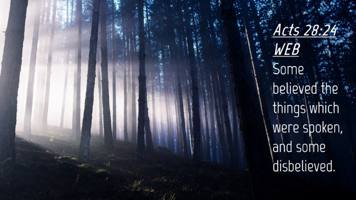 Picture 04 - Acts 28:24 WEB Desktop Wallpaper - Some believed the things which were spoken, and - Desktop Bible Verse Wallpaper
