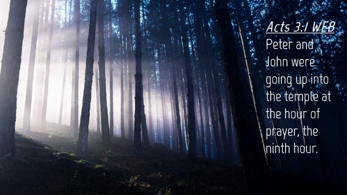 Picture 04 - Acts 3:1 WEB Desktop Wallpaper - Peter and John were going up into the temple at - Desktop Bible Verse Wallpaper