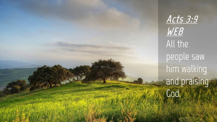 Picture 04 - Acts 3:9 WEB Desktop Wallpaper - All the people saw him walking and praising - Desktop Bible Verse Wallpaper