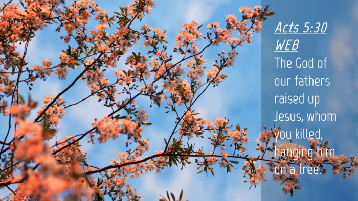 Picture 04 - Acts 5:30 WEB Desktop Wallpaper - The God of our fathers raised up Jesus, whom you - Desktop Bible Verse Wallpaper