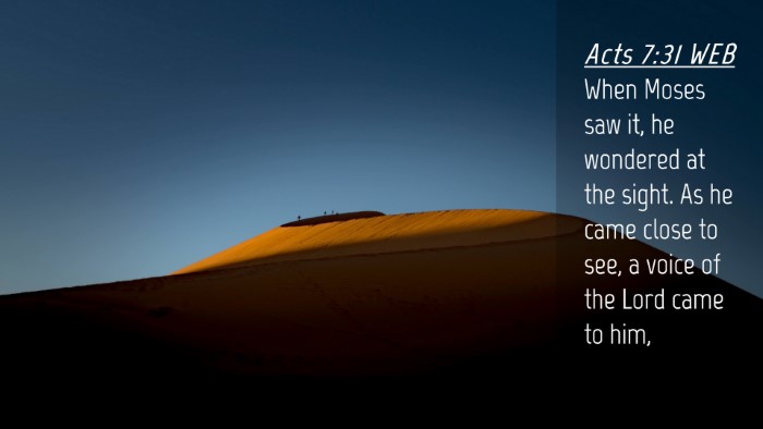 Picture 04 - Acts 7:31 WEB Desktop Wallpaper - When Moses saw it, he wondered at the sight. As - Desktop Bible Verse Wallpaper