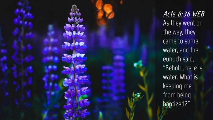 Picture 04 - Acts 8:36 WEB Desktop Wallpaper - As they went on the way, they came to some water, - Desktop Bible Verse Wallpaper