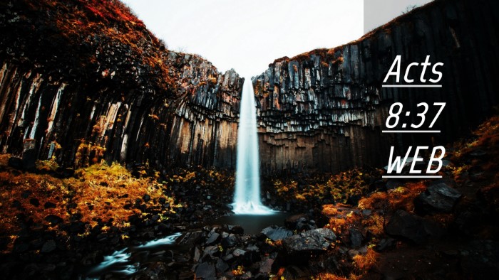 Picture 04 - Acts 8:37 WEB Desktop Wallpaper -  - Desktop Bible Verse Wallpaper