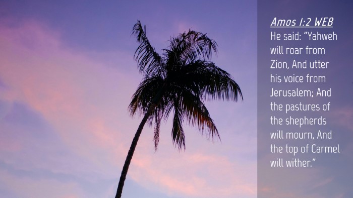 Picture 04 - Amos 1:2 WEB Desktop Wallpaper - He said: 
