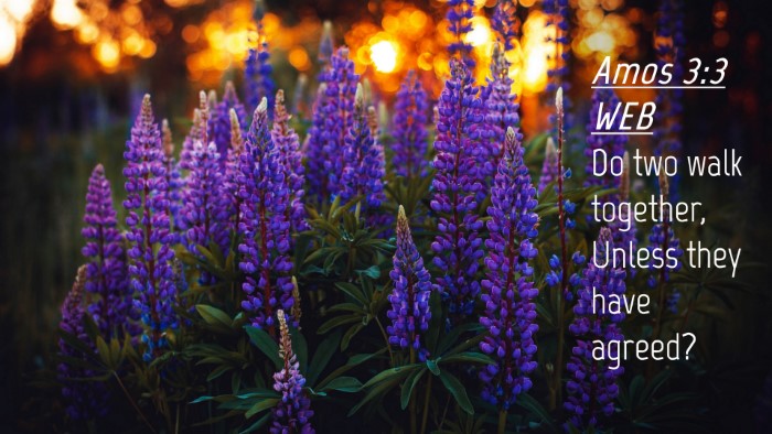 Picture 04 - Amos 3:3 WEB Desktop Wallpaper - Do two walk together, Unless they have - Desktop Bible Verse Wallpaper