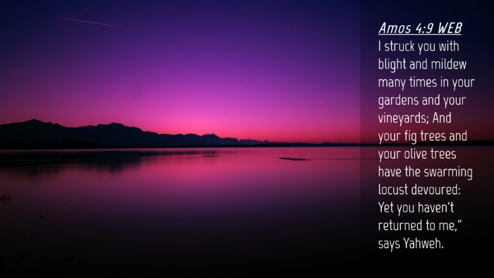 Picture 04 - Amos 4:9 WEB Desktop Wallpaper - I struck you with blight and mildew many times in - Desktop Bible Verse Wallpaper