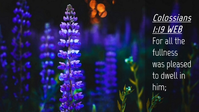 Picture 04 - Colossians 1:19 WEB Desktop Wallpaper - For all the fullness was pleased to dwell in - Desktop Bible Verse Wallpaper