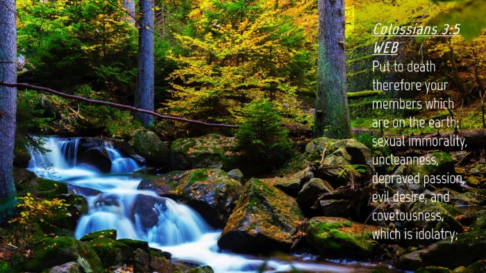 Picture 04 - Colossians 3:5 WEB Desktop Wallpaper - Put to death therefore your members which are on - Desktop Bible Verse Wallpaper