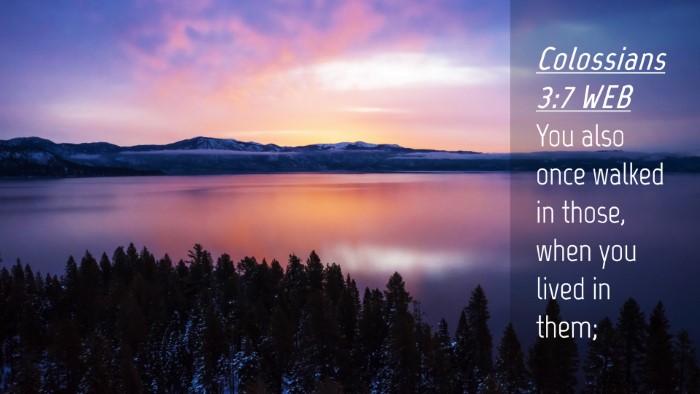Picture 04 - Colossians 3:7 WEB Desktop Wallpaper - You also once walked in those, when you lived in - Desktop Bible Verse Wallpaper