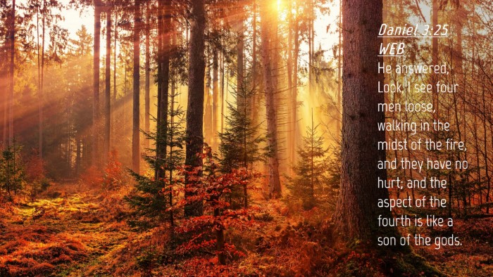 Picture 04 - Daniel 3:25 WEB Desktop Wallpaper - He answered, Look, I see four men loose, walking - Desktop Bible Verse Wallpaper